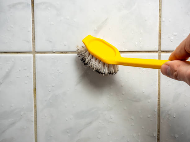 Best Emergency Mold Removal  in Hutchins, TX
