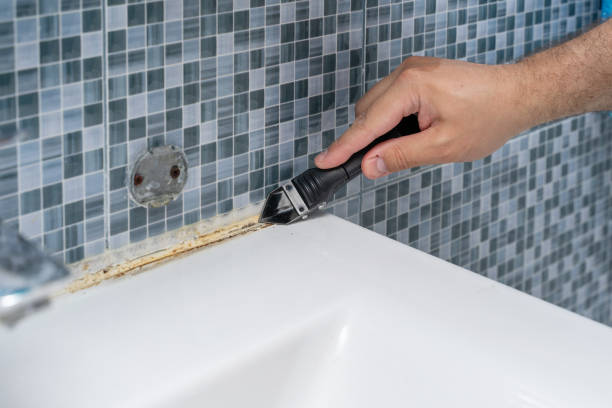 Best Home Mold Removal  in Hutchins, TX