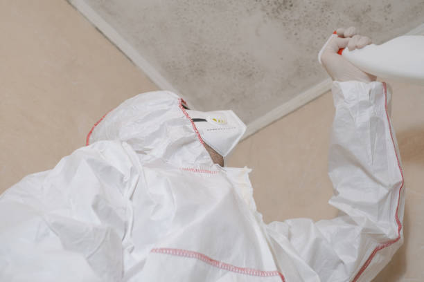 Best Mold Inspection  in Hutchins, TX